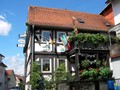 Gasthof & Pension Auerhahn, Schlitz im Vogelsberg