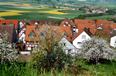 Fr�hling in Homberg (Ohm)