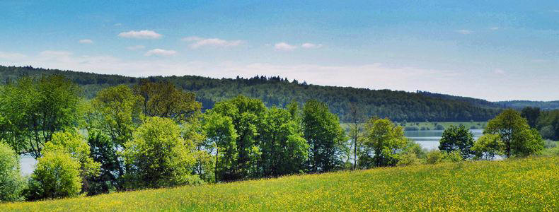 Niddastausee