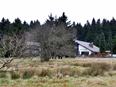 Taufsteinh�tte im Vogelsberg