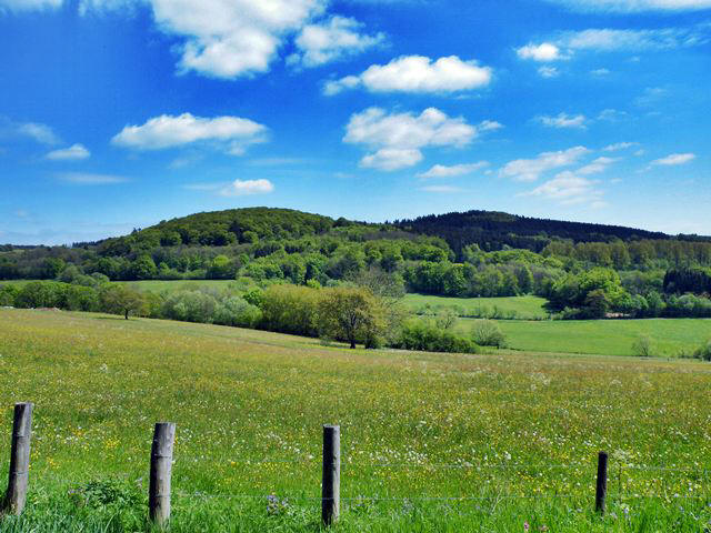 Vogelsberg