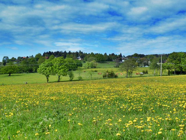 Herchenhain im Vogelsberg