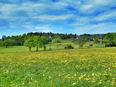 Herchenhain im Vogelsberg