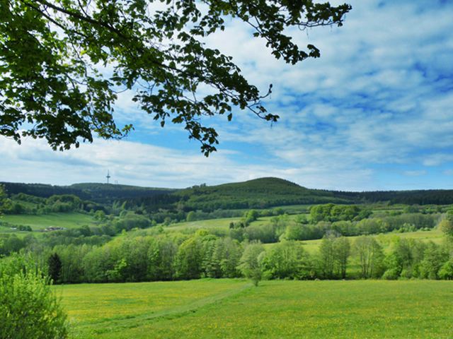 Hoher Vogelsberg