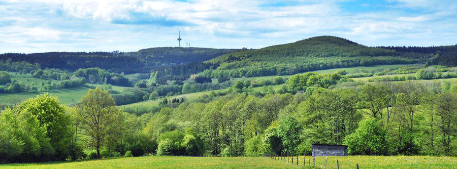 Vogelsberg - Hoherodskopf, Taufstein, Herchenhainer Höhe, Sieben Ahorn & Co - die Berge des Naturpark Vogelsberg
