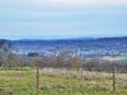 Blick auf Schotten im Vogelsberg