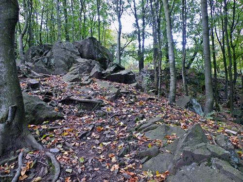 Vogelsberg - Vulkangestein am Hoherodskopf
