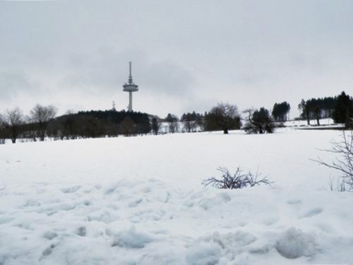 Schnee am Hoherodskopf im Vogelsberg