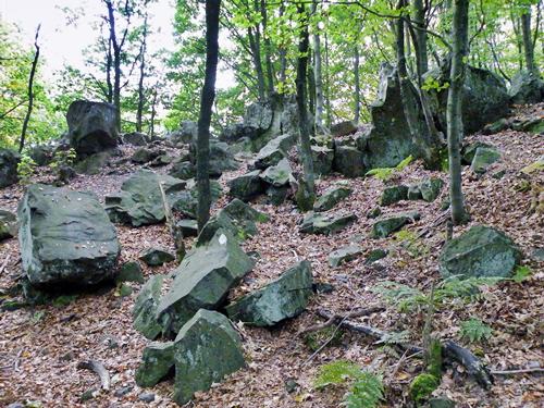 Zeugen des Vulkan Vogelsberg - Basalt auf dem Hoherodskopf