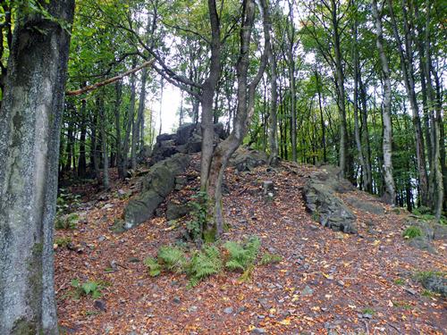 Zeugen des Vulkan Vogelsberg - Basalt auf dem Hoherodskopf