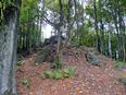 Vulkan Vogelsberg - Basalt auf dem Hoherodskopf